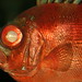 Tina Shedd Photo 18