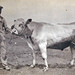 Curtis Cook Photo 13