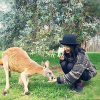 Li Yuanyuan Photo 13