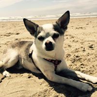 Jessica Hathcock Photo 5