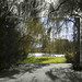 Earl Rowe Photo 18
