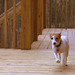 Audrey Parson Photo 5