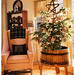 Kathy Parker Photo 33