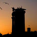 Marc Colon Photo 15
