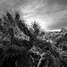 Shaun Sharp Photo 13