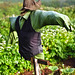 Dawn Horton Photo 23