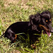 Rhonda Walker Photo 12