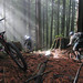 Ray Burke Photo 25