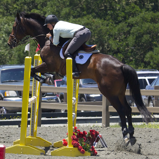 Christina Gray Photo 31
