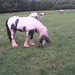 Billy Gaskins Photo 4