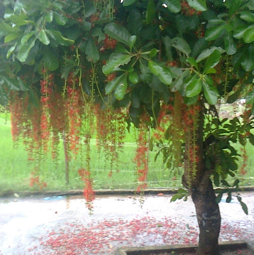 Chuong Dinh Photo 8