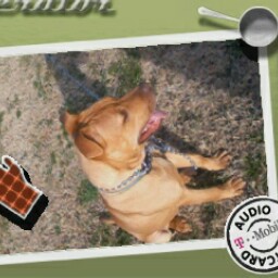 Ronnie Tibbs Photo 3
