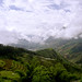 Lien Hoang Photo 21