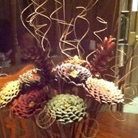 Annie Collins Photo 10