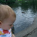Carolyn Swan Photo 33