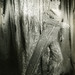 Richard Rudy Photo 26