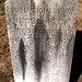Jesse Peck Photo 28