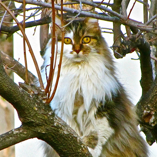 Connie Loper Photo 2
