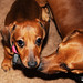 Bruce Jaeger Photo 13