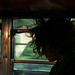 Sarah Arrigo Photo 4