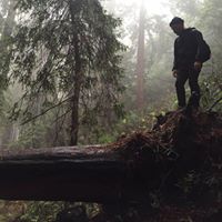 David Levinson Photo 29