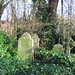 Alice Abney Photo 6