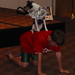 Amy Ables Photo 18