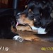 Michele Kelley Photo 44