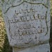 Thomas Morris Photo 16