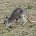 Joey Gray Photo 24