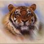 Elizabeth Coble Photo 20