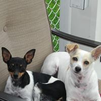 Carol Myers Photo 36