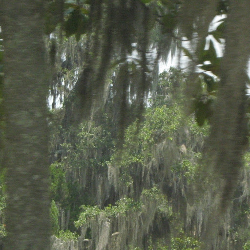 Christopher Gardner Photo 40