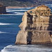 Gary Ard Photo 5