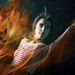 Connor Lewis Photo 16