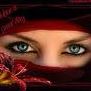 Zia Ahmad Photo 13
