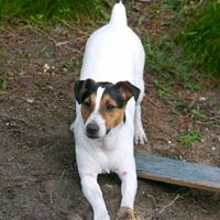 Janice Sharpe Photo 9