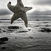Deborah Weiss Photo 13