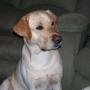 Thomas Schell Photo 20