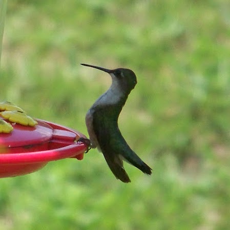 John Sauers Photo 8