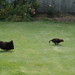 Linda Sealy Photo 23