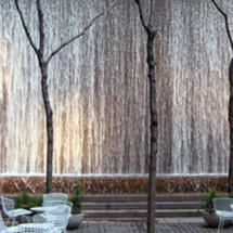 Debra Chandler Photo 36