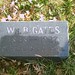 William Gates Photo 33