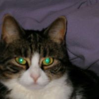 Kathleen Provencher Photo 10