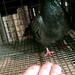 Sharon Walters Photo 29
