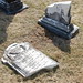 Willie Chapman Photo 29