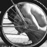 Esteban Robledo Photo 4