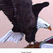 James Hutchens Photo 15