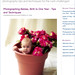 Deborah Wolfe Photo 24