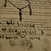 Amy Dolan Photo 34